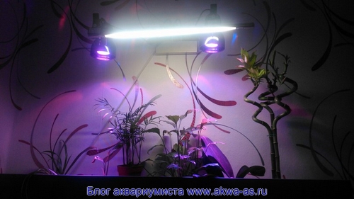 Фитофильтр для аквариума
