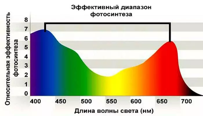 Эффективный диапазон фотосинтеза для растений
